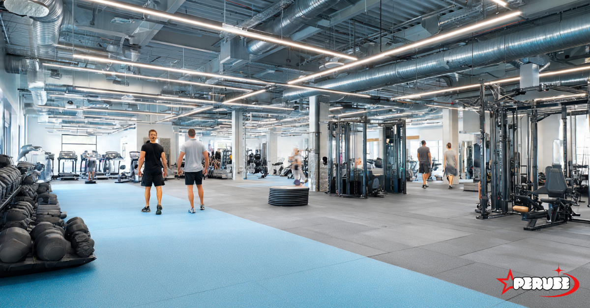 delta fitness authority